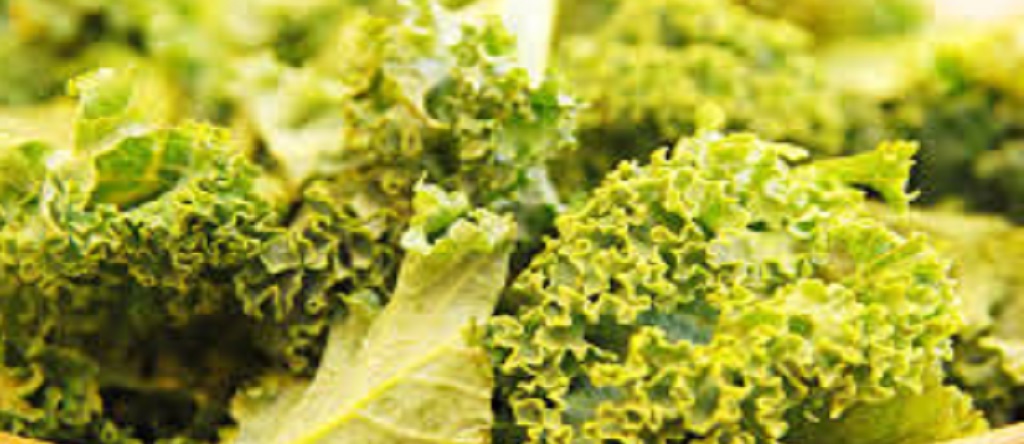 Tips for a Better Digestion Health
